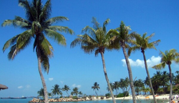 民丹島在哪個(gè)國(guó)家