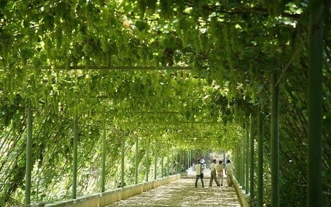 點(diǎn)擊查看源網(wǎng)頁(yè)